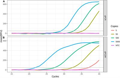 Combinations of PCR and Isothermal Amplification Techniques Are Suitable for Fast and Sensitive Detection of SARS-CoV-2 Viral RNA